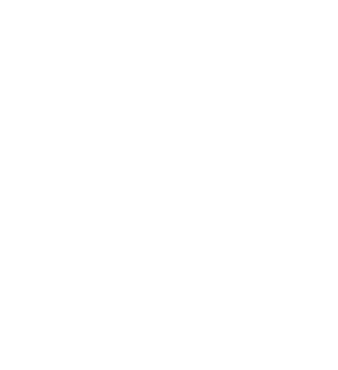 Southern endodontic study group-white